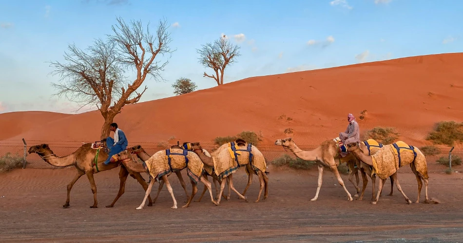 A Guide to Dubai Desert Adventure