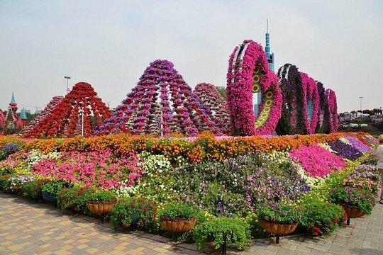 Tour image 4