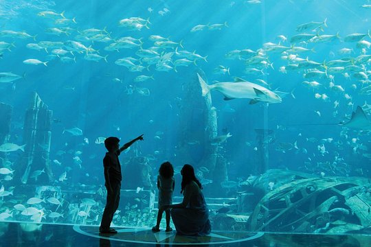 Tour image 2